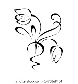 two stylized flowers on stems with curls in black lines on a white background