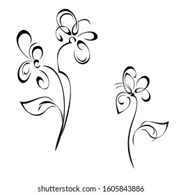 two stylized flowers on stems with leaves in black lines on white background