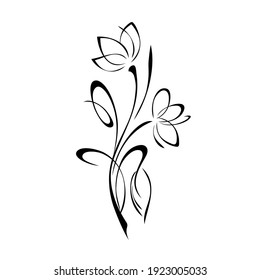dos flores estilizadas sobre tallos con rizos y una hoja en líneas negras sobre fondo blanco