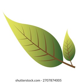 Dos hojas verdes estilizadas con vetas marrones y tallo, renderizadas en un estilo de Vector simple. Las hojas tienen un efecto de gradiente.