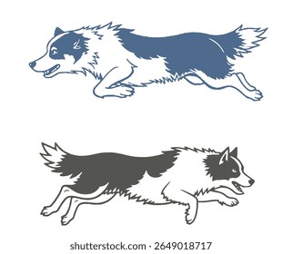 Two stylized illustrations of Border Collie dogs are leaping forward, one in blue and the other in gray.
