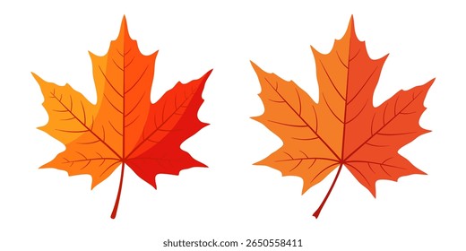Two stylized maple leaves in warm autumn colors, transitioning from yellow-orange to red, set against a clean white background. The leaves feature distinct veins and stems, evoking a sense of fall.