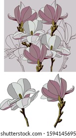 
two stylized peach flowers composition