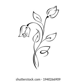 two stylized rose flower buds on a stem with leaves and curls in black lines on a white background