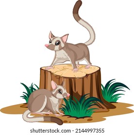 Two sugar gliders on the log illustration