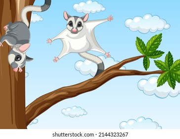 Two sugar gliders on the tree illustration