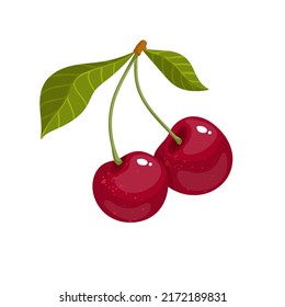 Two summer berries of ripe cherries. Cartoon vector graphics.