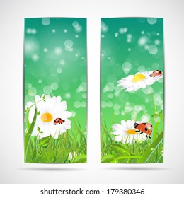 Two summer natural banners with flowes