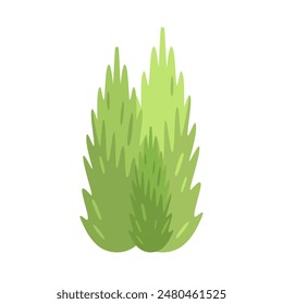 Dos árboles altos de verano o primavera con hojas verdes en la Ilustración vectorial de la copa