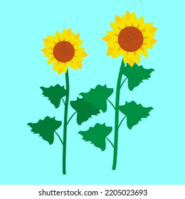 Two sunflowers, illustration, vector, cartoon