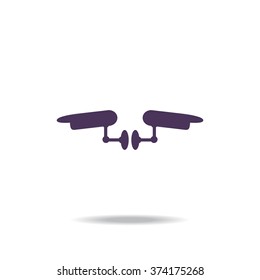 Two surveillance cameras icon