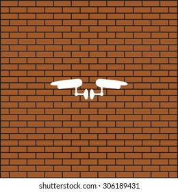 Two surveillance cameras. icon. vector design