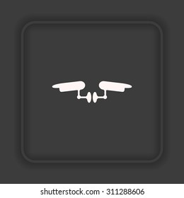 Two surveillance cameras. icon. vector design
