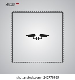 Two surveillance cameras, vector illustration, EPS 10