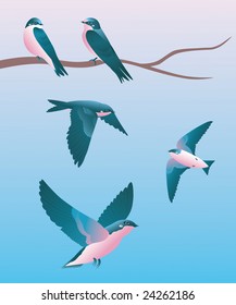 Two swallow sitting on a branch and flirting.  Three swallows flying nearby.