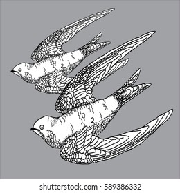 Two swallows , vector