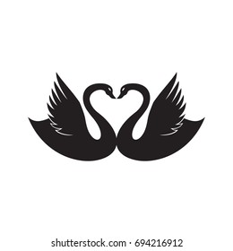 Two swan in love