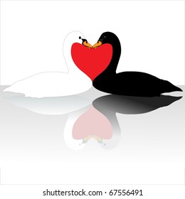 Two swans