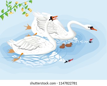 two swans with babies