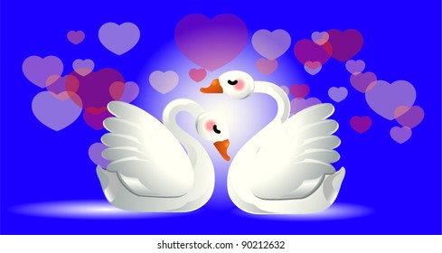 Two swans to fall in love