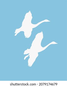 Two swans in flight. Vector silhouette of birds
