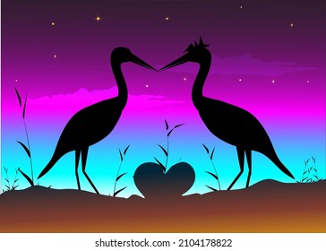 two swans at night on the hill