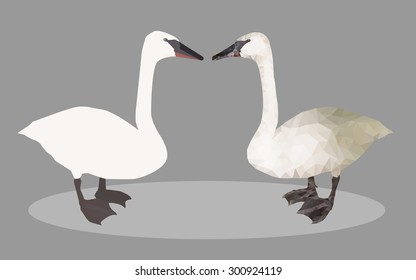 two swans one in geometric style another one drawing vector in gray background