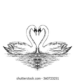 swan heart drawing