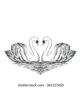 Two swans sketch. Hand drawn vector illustration.