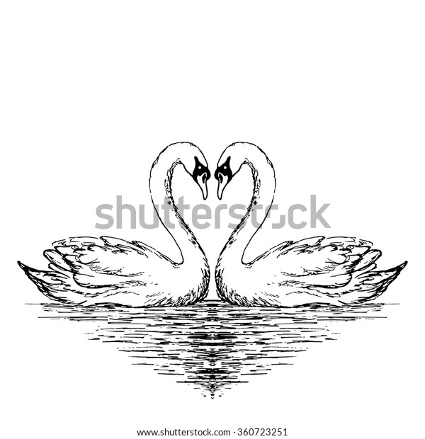 Two Swans Sketch Hand Drawn Vector Stock Vector (Royalty Free) 360723251