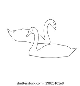 two swans vector on white background
