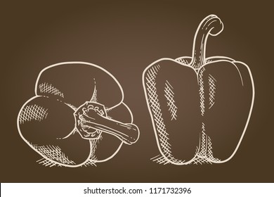 Two sweet peppers isolated. Vegetable design element for farm market, vegetarian food recipe. Vector vintage brown illustration in engraving outline style.