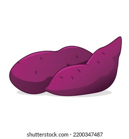 Two sweet potatoes vector illustration.