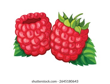 Duas framboesas doces em estilo cartoon. Ilustração vetorial de framboesas maduras e suculentas com folhas isoladas sobre fundo branco. Saudáveis, bagas de vitamina. Bagas sazonais.