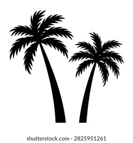 Two Tall Palm Trees Silhouette Against Transparent Background
