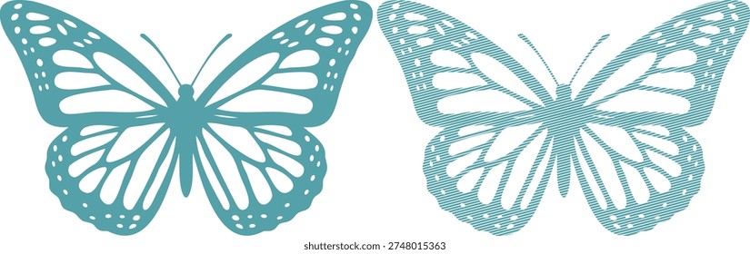 Two teal butterflies with different wing patterns butterfly