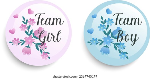 Two team girl and team boy pink and blue stickers set for gender reveal party isolated