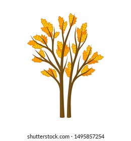 Two thin autumn trees. Vector illustration on a white background.