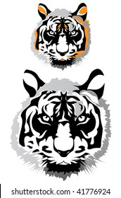 two tigers