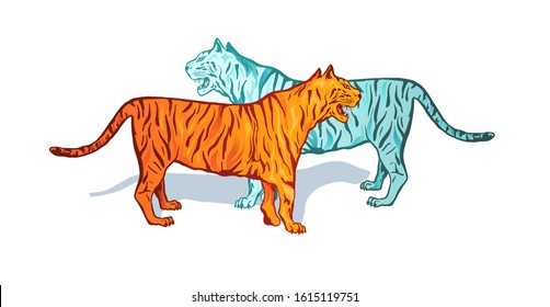 Two tigers hand drawn vector illustration. Blue and yellow wild cats, striped beasts isolated on white background. Spiritual animal, mystic strength symbol. Majestic exotic animal, predator spirit