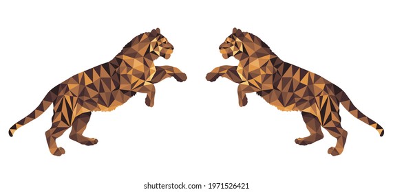 two tigers on their hind legs, isolated color image on a white background in the low poly style