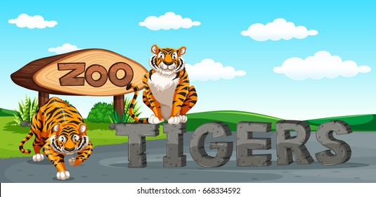 Dos tigres en la ilustración del zoológico