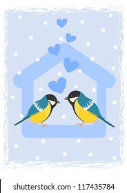 Two tits in bird feeder - winter time.