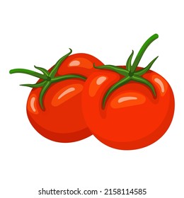 Two tomato fruits isolated on a white background. Vector illustration for vegetable store, apps, games and much more.