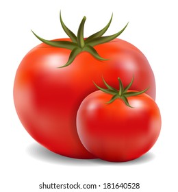 Two tomatoes isolated on white