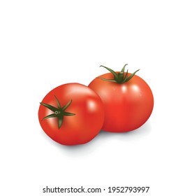 Dos tomates de fondo blanco, vector
