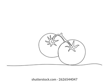 Two tomatoes, one line drawing vector illustration.