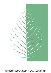 Two tone leaf vein logo.  Transparent background in vector file.