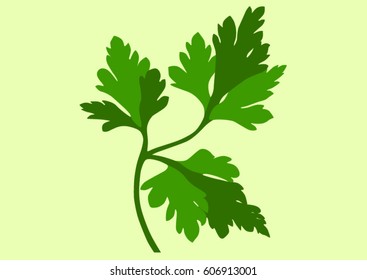 Two tone parsley