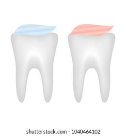 Two Tooth covered with toothpaste,vector